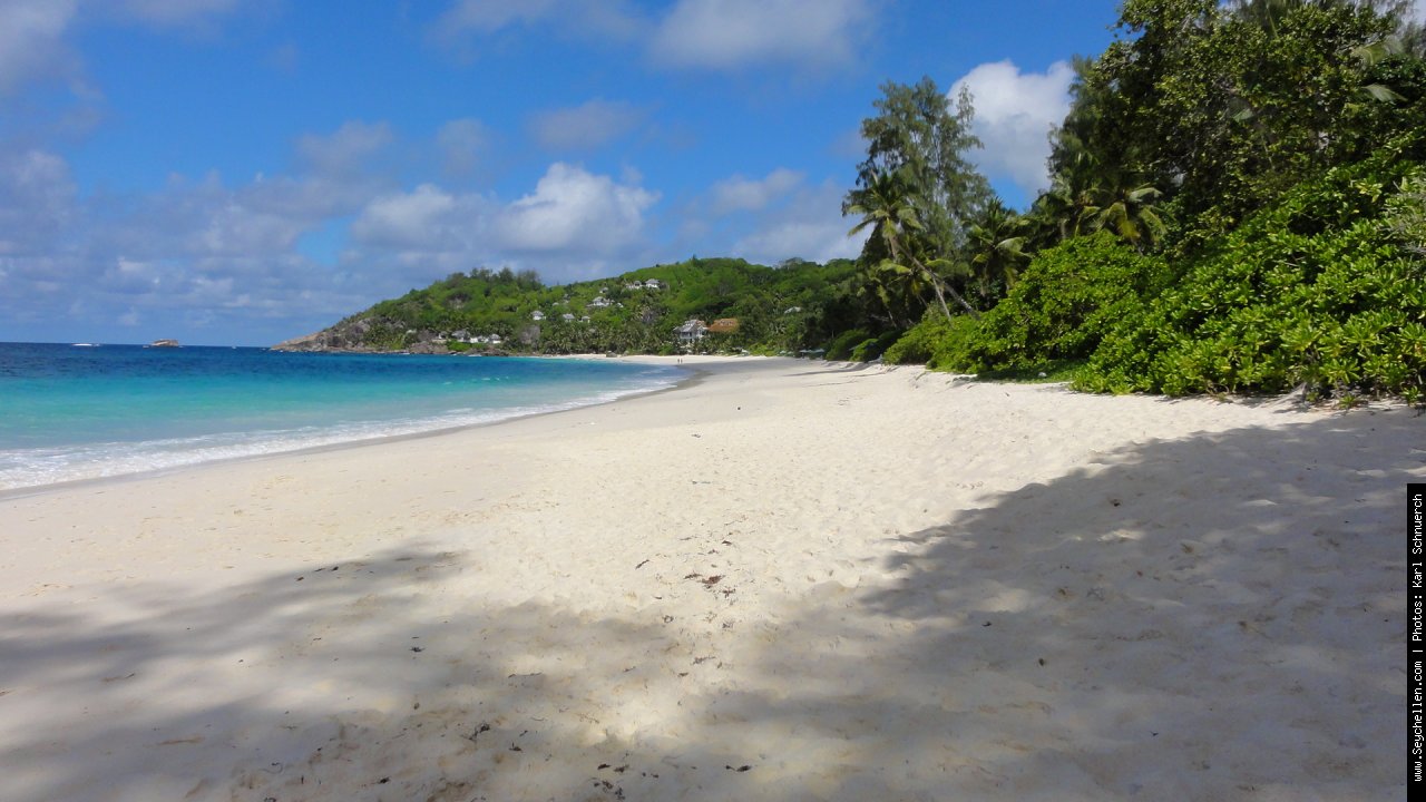 Anse Intendance Bucht, Banyan Tree | Mahe | Seychelles Anse Intendance Bucht, Banyan Tree | Mahe | Seychelles